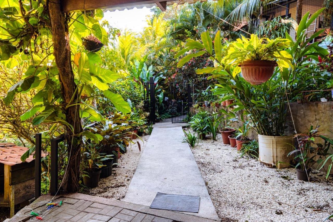 Flor De Paraiso Bungalows 蒙特苏马 外观 照片