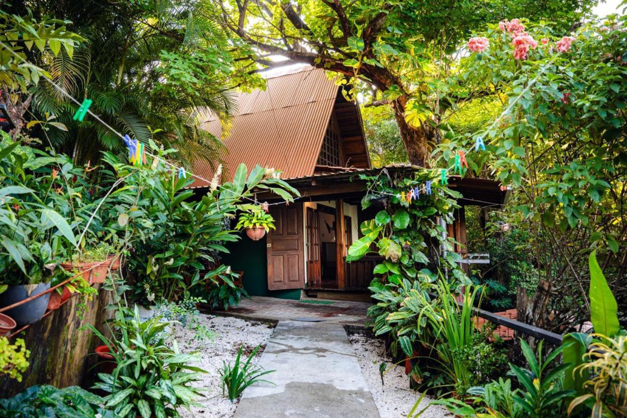 Flor De Paraiso Bungalows 蒙特苏马 外观 照片