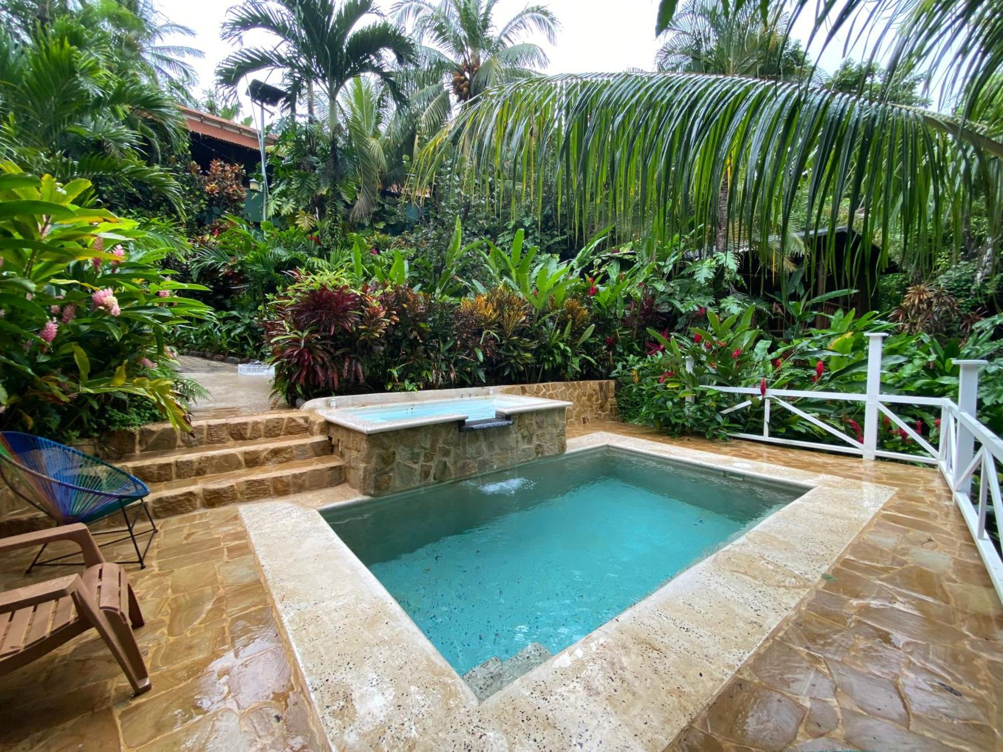 Flor De Paraiso Bungalows 蒙特苏马 外观 照片