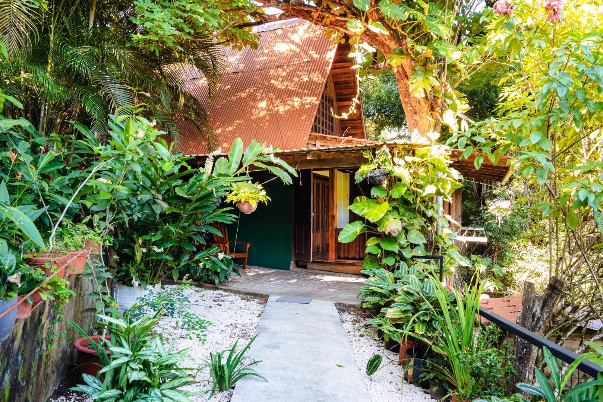 Flor De Paraiso Bungalows 蒙特苏马 外观 照片